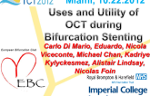 Uses and Utility of OCT During Bifurcation Stenting