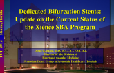 Dedicated Bifurcation Stents: Xience SBA Program Update