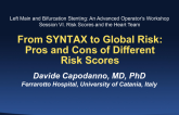 From Syntax to Global Risk: Pros and Cons of Different Risk Scores