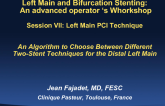 An Algorithm to Choose Between Different Two-Stent Techniques for the Distal Left Main