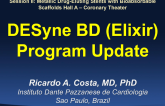 DESyneBD (Elixir Medical) Program Update