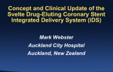 Sirolimus-Eluting Stent (Svelte Medical) Program Update