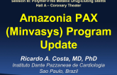 Amazonia Pax (MINVASYS) Program Update