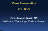 Case 2: VH-IVUS Case