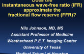Correlation Between FFR and iFR: An Independent Validation Study