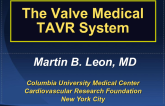 Valve Medical TAVR System