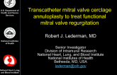 Mitral Valve Cerclage: Concept and Practicality