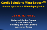 CardioSolutions MitraSpacer: Temporary Use and Permanent Implant