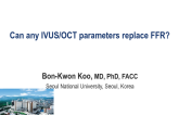 Can Any IVUS/OCT Parameters Replace FFR?