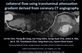 TCT-73. Non-Invasive Evaluation of Coronary Artery Collateral Flow Using Computed Tomographic Angiography