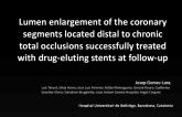 TCT-75. Lumen Enlargement of the Coronary Segments Located Distal to Chronic Total Occlusions Successfully Treated with Drug-Eluting Stents at Follow-up