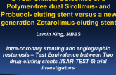 TCT-48. Two Year Follow-up and Sub-group Analysis of a Polymer-free Sirolimus- and Probucol-eluting Stent vs. A New Generation Zotarolimus-eluting Stent in Coronary Artery Disease