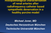 TCT-9. Morphological Assessment of Renal Arteries After Radiofrequency Catheter-based Sympathetic Denervation in a Porcine Model