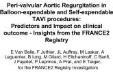 TCT-91. Peri-valvular Aortic Regurgitation in Balloon-expendable and Self-expendable TAVI procedures: Predictors and Impact on Clinical Outcome - Insights from the FRANCE2 Registry