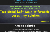 Two Distal Left Main Trifurcation Cases: My Solutions