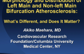Morphology and Distribution of Left Main and Non-Left Main Bifurcation Atherosclerosis: What's Different, and Does It Matter?