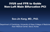 Non-Left Main Bifurcation PCI: Integrated Use of FFR and IVUS