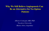 Evidence/Practice Intersection: Why We Still Believe Angiogenesis Can Be an Alternative for No-Option Patients