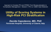 Utility of Scoring Systems in High Risk PCI Stratification