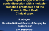 Case 4: Percutaneous Repair of Thoracic Aortic Aneurysms