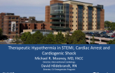 Hypothermia in STEMI: When, to Whom, and How? (Cardiac Arrest, Cardiogenic Shock, Stable STEMI)