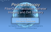 Fiberoptic Cardioscopy for Use in Epicardial Injection of Cell Suspensions and Biomaterials