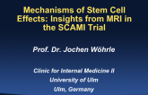 Mechanisms of Stem Cell Effects: Insights from MRI in the SCAMI Trial