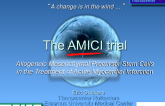 AMICI: Use of Mesenchymal Precursor Cells in the Treatment of STEMI Patients (FIM/IIB Study)