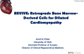 Retrograde Application of Autologous BM Cells: Phase 2 Study Results