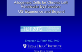 Allogenic Cells for Chronic Left Ventricular Dysfunction: The USA Experience and Beyond