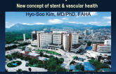Stents and Vascular Healing: New Concepts