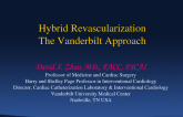 Hybrid Revascularization: The Vanderbilt Approach