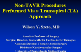 Non-TAVR Procedures Performed via a Transapical Approach