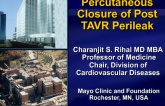 Percutaneous Closure of TAVR Paravalvular Leaks