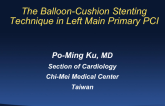 The Balloon-Cushion Stenting Technique in Left Main Primary PCI