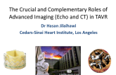 The Crucial and Complementary Roles of Advanced Imaging (Echo and CT) in TAVR