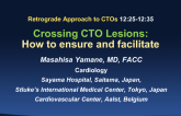 Crossing CTO Lesions: How to Ensure and Facilitate