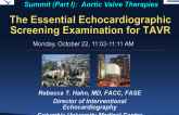 The Essential Echocardiographic Screening Examination for TAVR (Including Annulus Measurements)