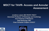 The Essential Multi-Slice CT Screening Examination for TAVR (Including Annulus Measurements and Vascular Assessments)