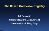 The Italian TAVR Registry