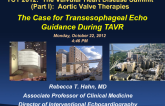 The Case for Transesophageal Echo Guidance During TAVR