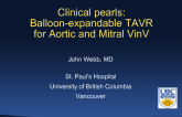 Clinical Pearls from Experienced Valve-in-Valve Operators: Balloon Expandable TAVR for Aortic and Mitral Valve-in-Valve