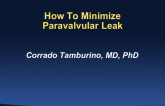How to Minimize Paravalvular Leak