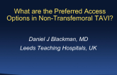What Are the Preferred Access Options in Nontransfemoral Cases?