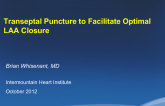 Case 3: Optimal Transseptal Puncture for LAA Occlusion