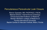Case 5: Transseptal Puncture for Paravalvular Leak Closure