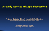 A Severely Stenosed Tricuspid Bioprostheses