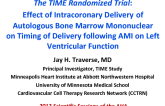 The TIME Randomized Trial: Effect of Intracoronary Delivery of  Autologous Bone Marrow Mononuclear            on Timing of Delivery following AMI on Left Ventricular Function