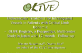 Endovascular Treatment for Infrainguinal Vessels in Patients with Critical Limb Ischemia: OLIVE Registry, a Prospective, Multicenter Study in Japan with 12-month Follow-up