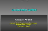 Bioabsorbable Scaffold